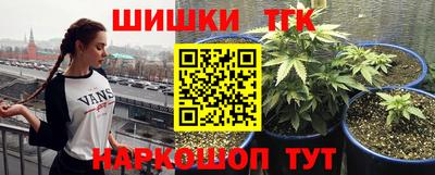 Альфа ПВП Гулькевичи