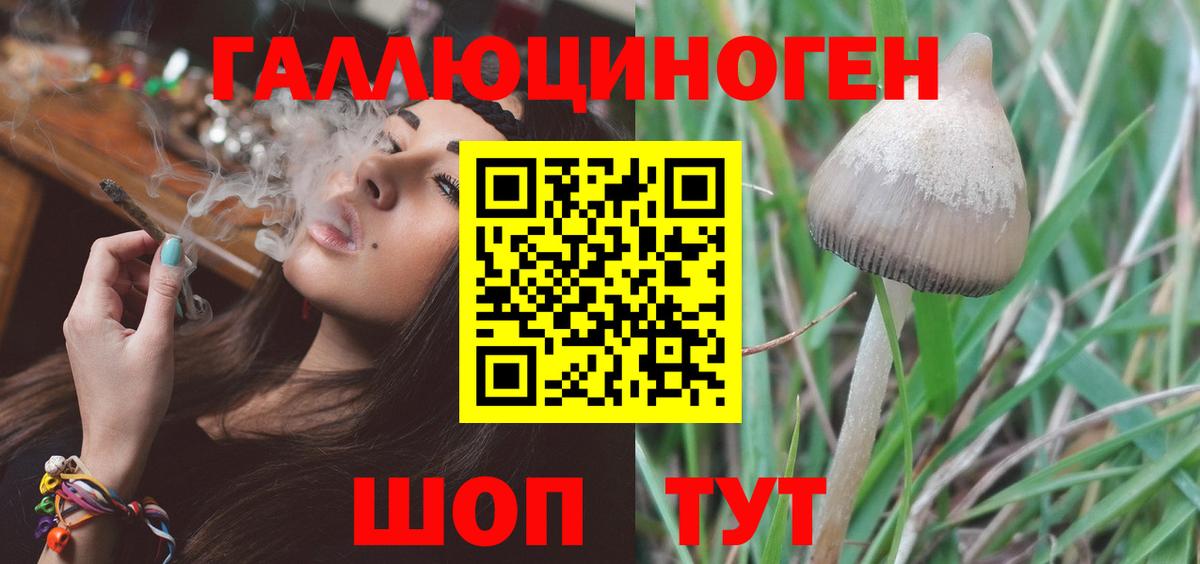 Псилоцибиновые грибы GOLDEN TEACHER  Вход с VPN  Сибай 