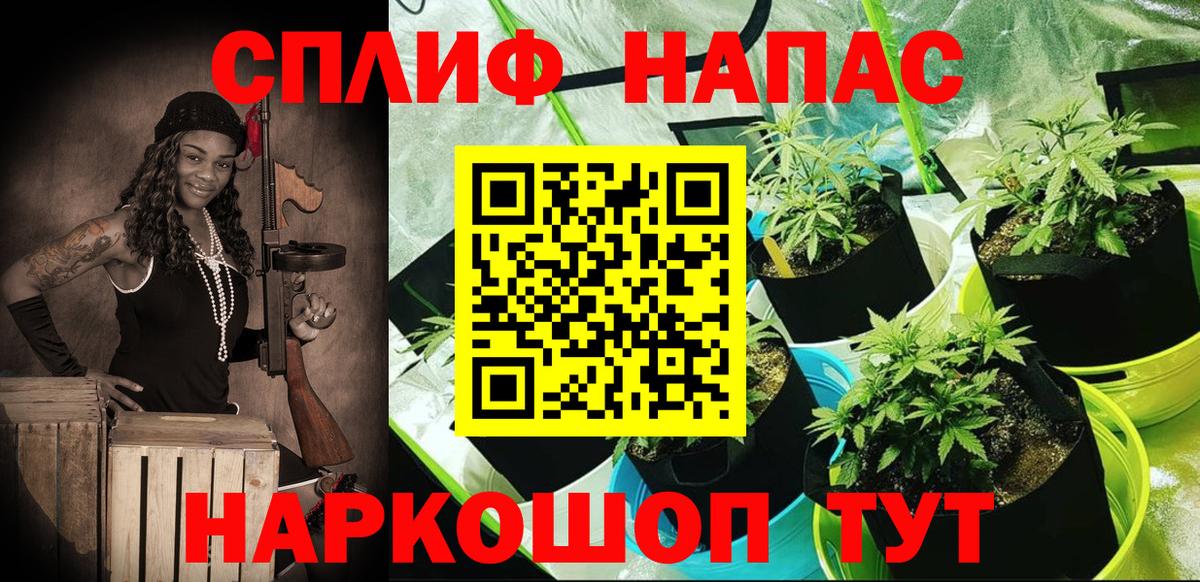 Сибай  Канабис ГИДРОПОН  Вход с VPN  Бошки Шишки индика 